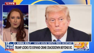 Trump deputy press secretary clarifies EO on flag burning as critics cite First Amendment