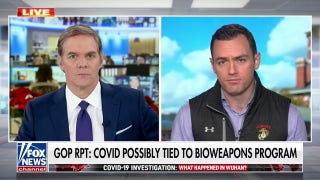 Bipartisan bill would ban TikTok nationwide 'before it's too late' - Fox News