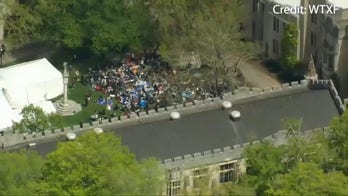 Arrests at Princeton pop-up encampment as anti-Israel protests sweep universities