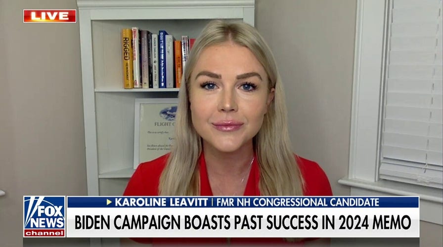 Karoline Leavitt: Democrat leadership has really hurt Americans