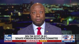 Tim Scott: The things Biden has said in the face of African Americans is 'despicable' - Fox News