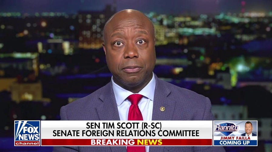 Tim Scott: The things Biden has said in the face of African Americans is 'despicable'