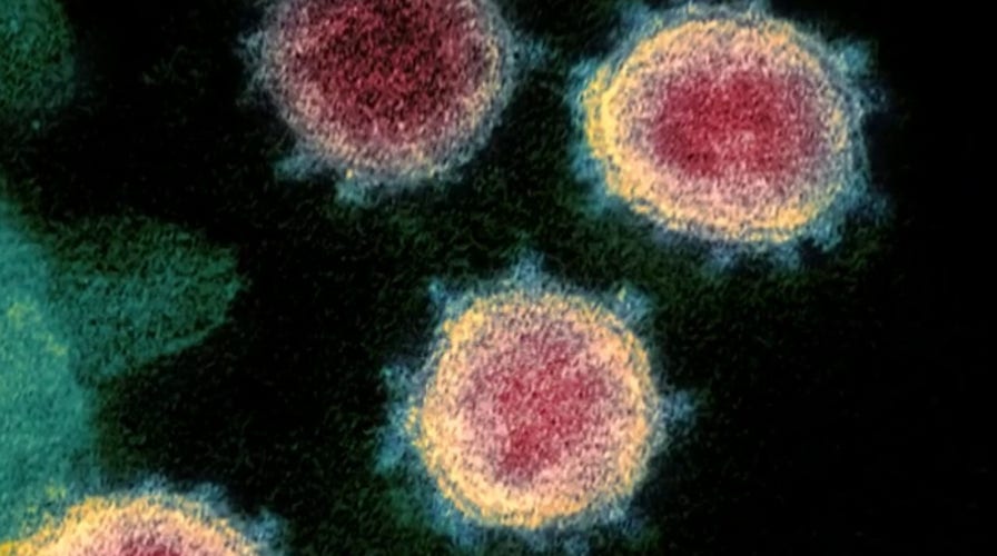 'SARS-like Damage' Seen In Dead Coronavirus Patient In China, Report ...