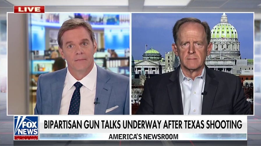 Sen. Toomey pushes expansion of 'common sense' gun control legislation to prevent mass shootings