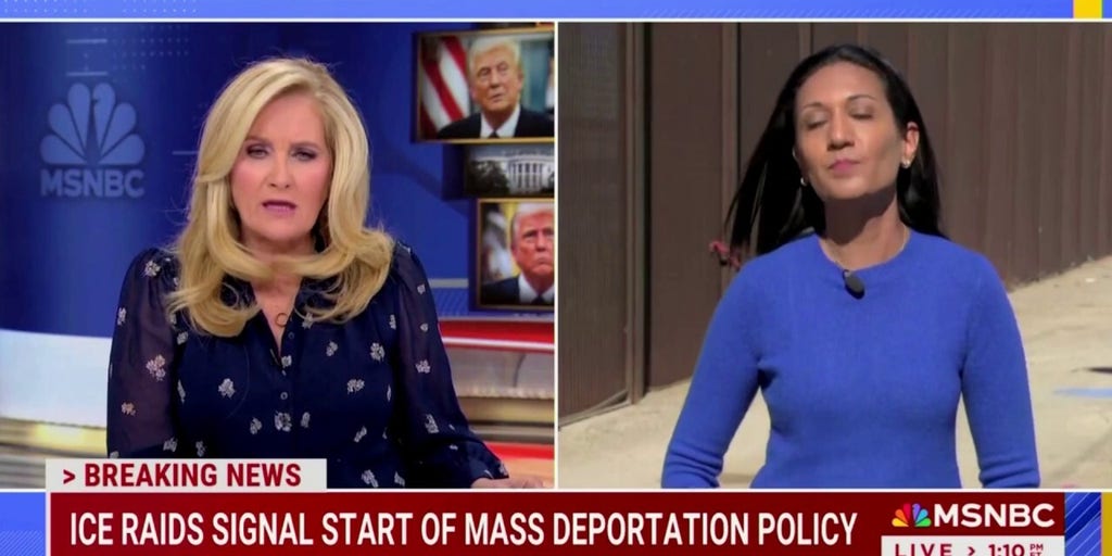 MSNBC anchor corrects correspondent on illegal immigrant reporting: 'We call them undocumented'