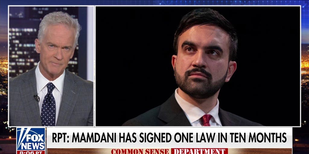Trace Gallagher: Mamdani likes ‘likes’ more than laws