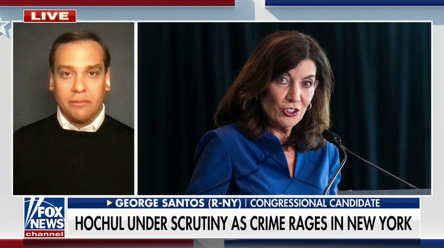NY congressional candidate George Santos says Lee Zeldin is ‘surging’