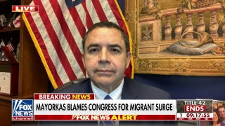 Democrat Rep. Henry Cuellar urges Biden to deport migrants - Fox News