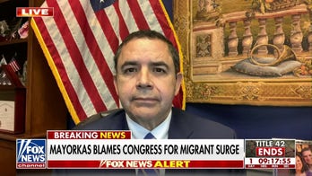 Democrat Rep. Henry Cuellar urges Biden to deport migrants