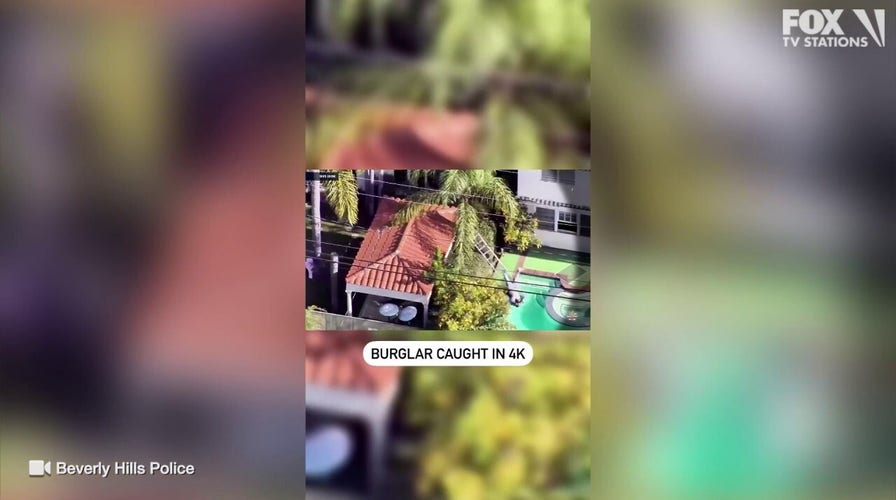 Beverly Hills burglar makes splash while trying to flee police