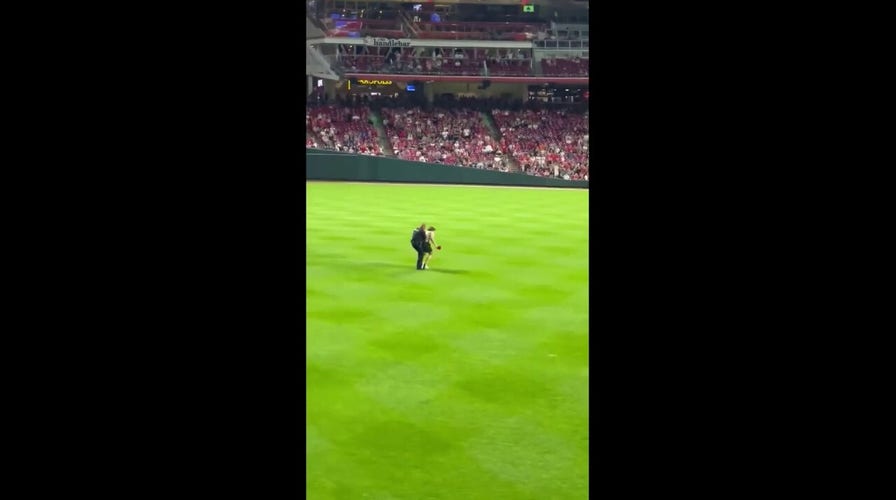 Reds fan runs onto field, does backflip and gets tased