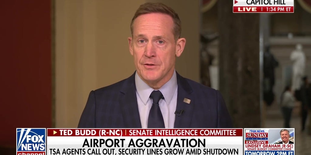 Sen Ted Budd on voter security, DHS funding debate