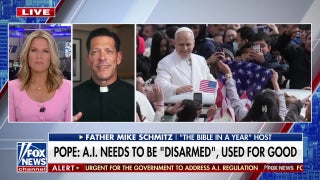 Father Mike Schmitz: Pope Leo XIV wants this world view in line with humanity's good