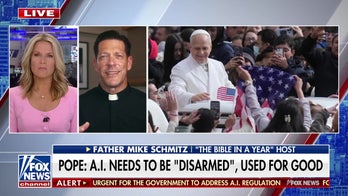 Father Mike Schmitz: Pope Leo XIV wants this world view in line with humanity's good