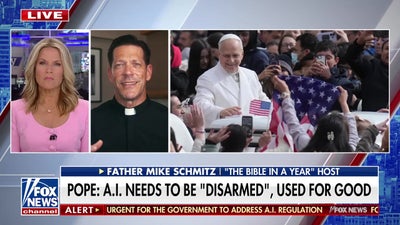 Father Mike Schmitz: Pope Leo XIV wants this world view in line with humanity's good