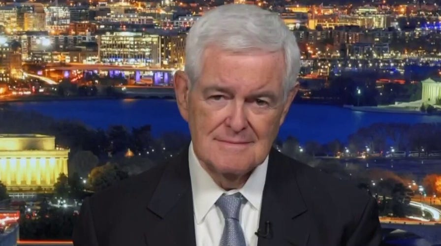 Newt Gingrich: Democratic leaders are corrupting the entire system