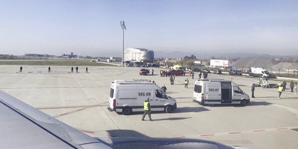 Sniffer dog swarms Turkish Airlines flight after chilling Wi-Fi bomb hoax