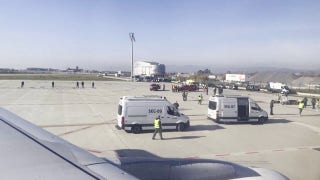 Sniffer dog swarms Turkish Airlines flight after chilling Wi-Fi bomb hoax