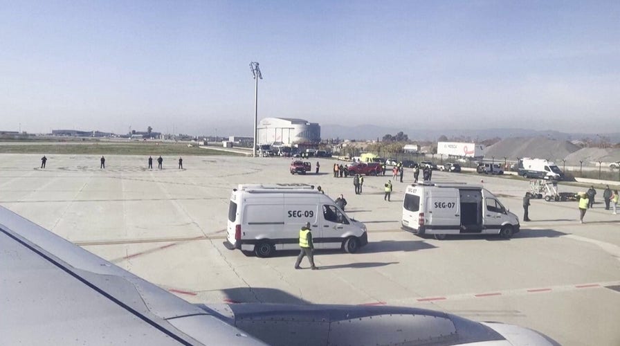 Sniffer dog swarms Turkish Airlines flight after chilling Wi-Fi bomb hoax