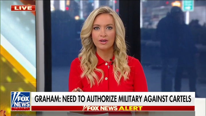 Kayleigh McEnany fact-checks Karine Jean-Pierre's border claims