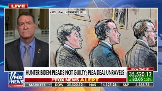 There's no doubt that Hunter Biden is a criminal: Rep. Mark Green  - Fox News