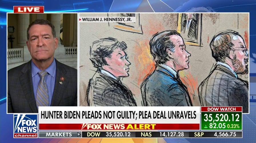 There's no doubt that Hunter Biden is a criminal: Rep. Mark Green 