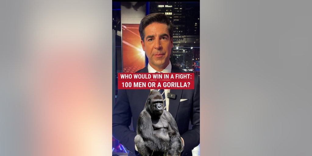Who would win in a fight: 100 men or a gorilla? Jesse weighs in.