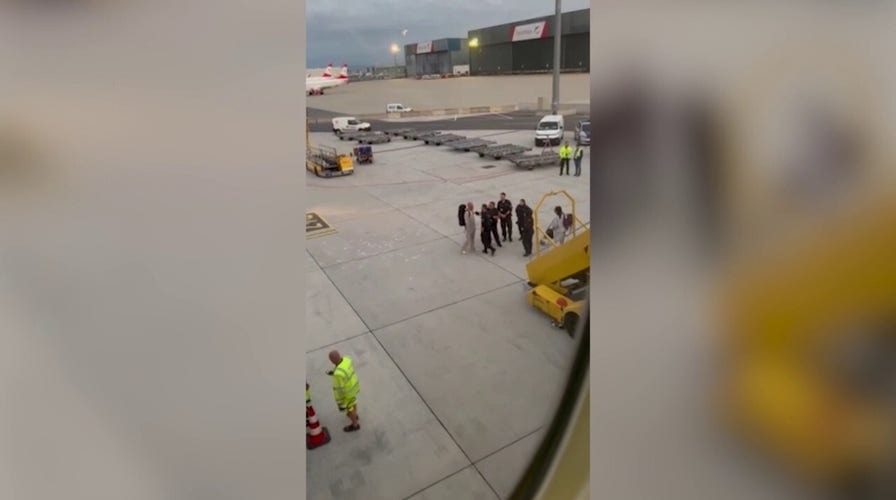 Plane is diverted to Vienna, Austria, after couple's 'fierce' argument