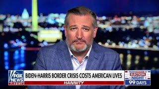 Democrats don't care: Sen. Ted Cruz - Fox News