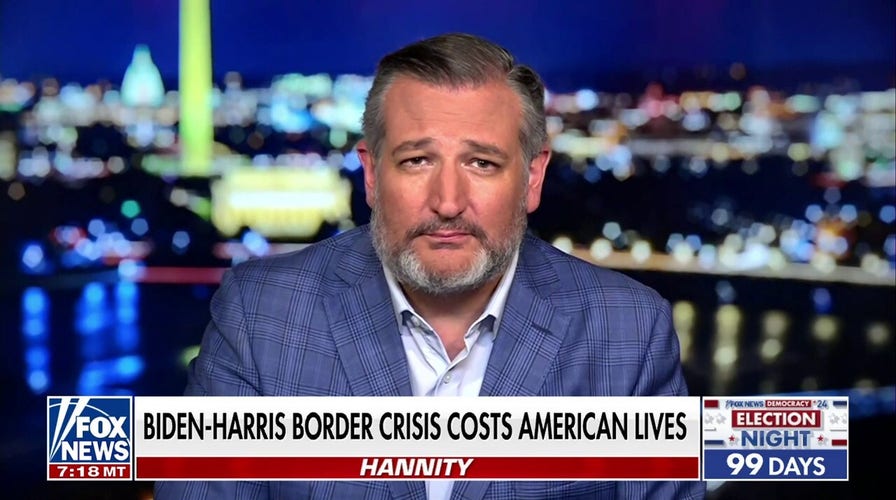 Democrats don't care: Sen. Ted Cruz