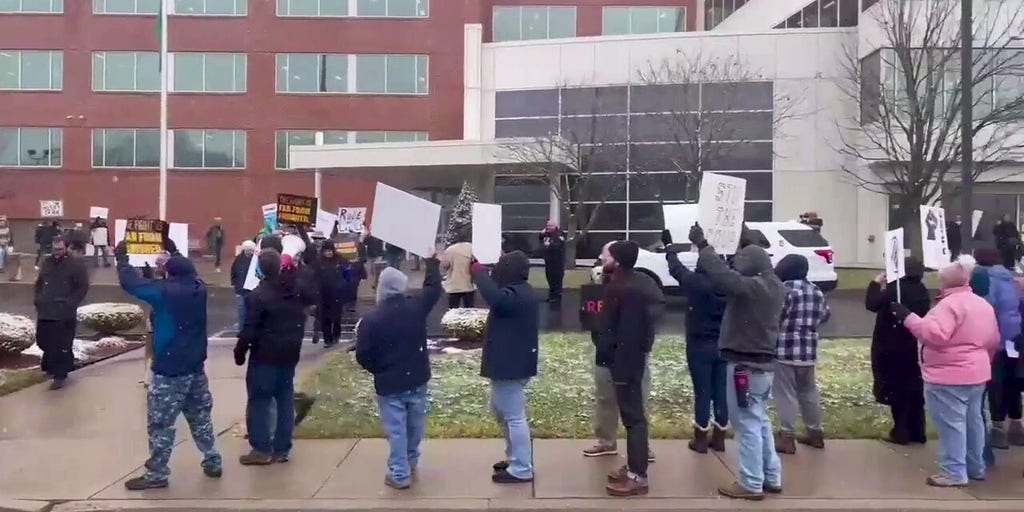 Protests Erupt Over Musk's DOGE Appointment