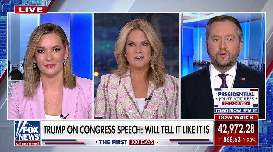 Former Biden campaign surrogate says Dems can't just be the party of no against Trump