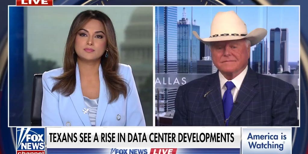 Data centers are threatening US farmland, warns Texas agriculture commissioner