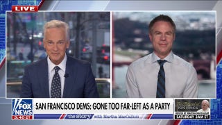 Much of the Democratic Party's base is still 'very radical,' says Michael Shellenberger