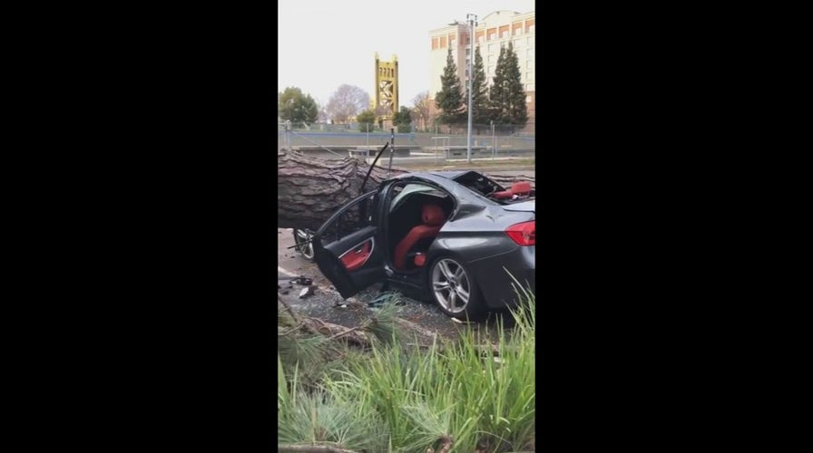 California storms: Car smashed by fallen tree in Sacramento