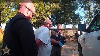 Man faces felony charges after shooting neighbor's pregnant cow in Florida