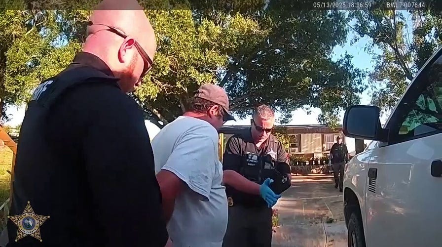 Man faces felony charges after shooting neighbor's pregnant cow in Florida