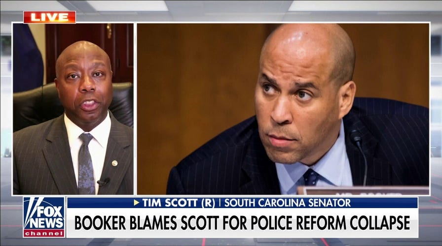 Tim Scott on Democrats pushing nationalization of local police: 'That is not the American way'