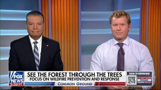 Senators discuss bipartisan effort to focus on wildlife prevention and response - Fox News