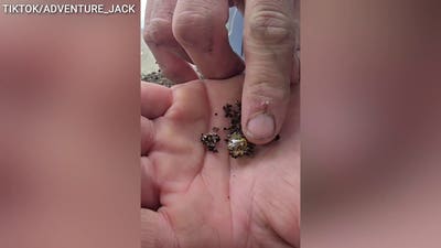Navy reservist shakes as he pulls massive yellow diamond from gravel: 'Today's the day'