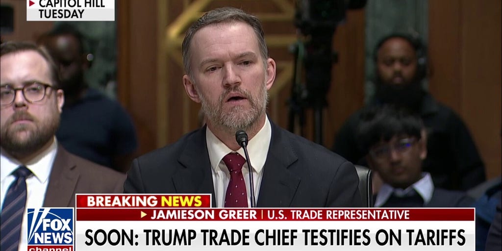 Trump trade chief faces House grilling on tariffs