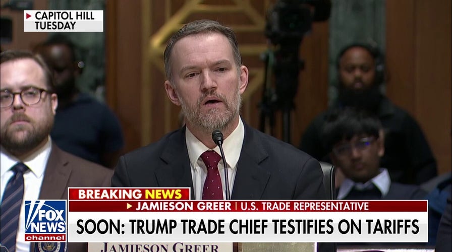 Trump trade chief faces House grilling on tariffs