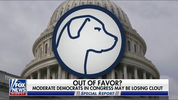 Do 'Blue Dogs' have a future in the Democratic Party?