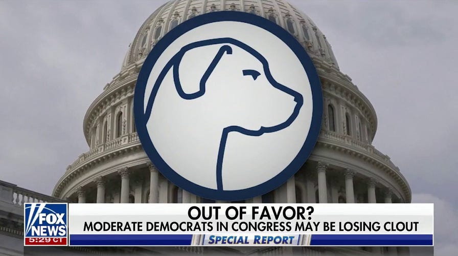 Do 'Blue Dogs' have a future in the Democratic Party?