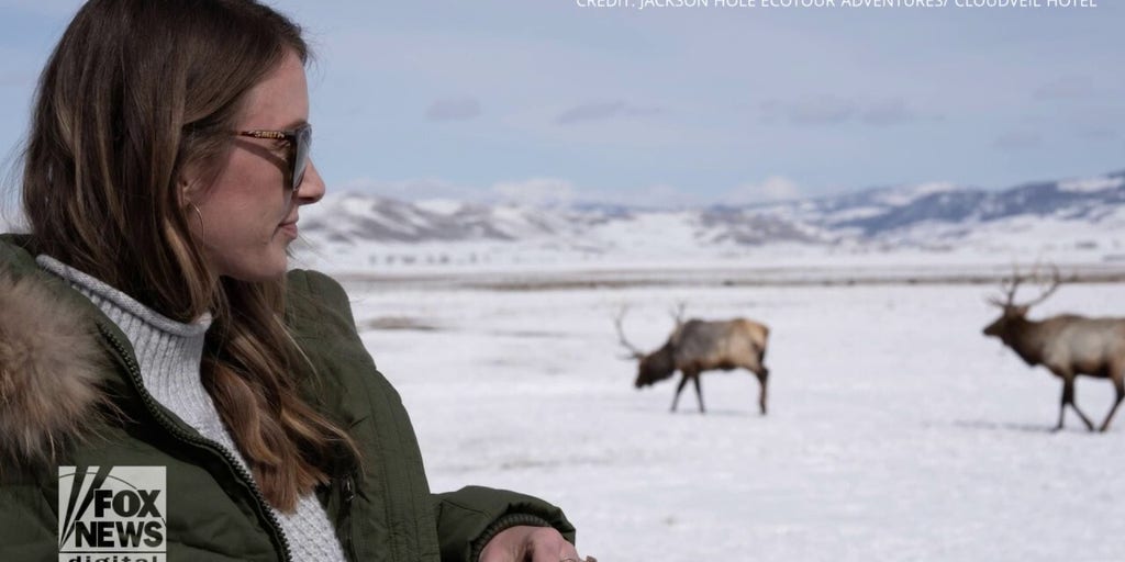 In Wyoming, wildlife and tourism share common goal of conservation