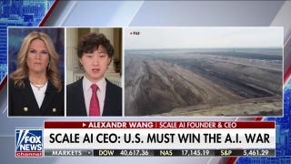 AI creates 'huge amounts of opportunity' for jobs in rural America, CEO says - Fox News