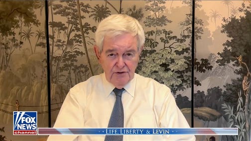 When you have a system failing this badly, you are ‘ruining’ children’s lives: Newt Gingrich