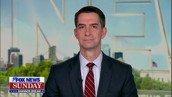 Cotton blames Democrats' 'temper tantrum' for DHS standoff as travel chaos grows