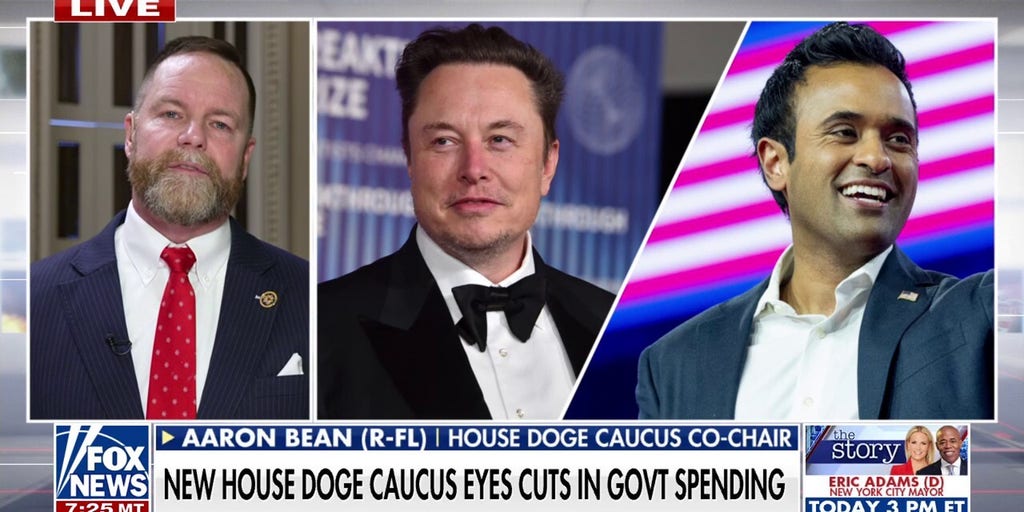 Congressional DOGE Caucus holds first meeting