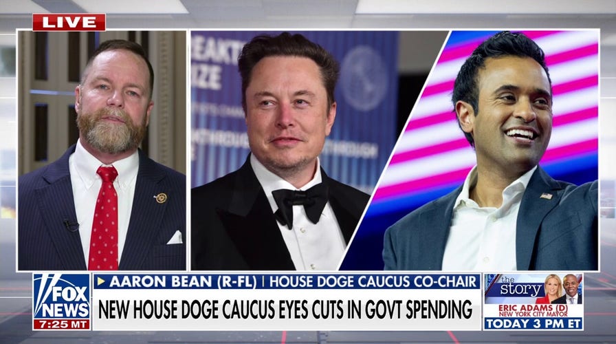 Congressional DOGE Caucus holds first meeting